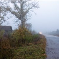Осень :: **** vedin