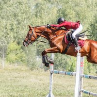 Конкур :: SanSan 