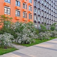 На улице Новой Москвы :: Валерий Иванович