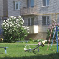 у дома :: Елена Шаламова