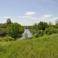 Весна в степи. :: Виктор Весна в степи. :: Виктор