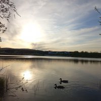Закат на водоёме. :: Алена 