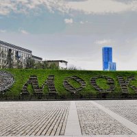 Цветочные часы в парке Победы. :: Татьяна Помогалова