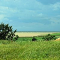 Приазовье. Перед грозой :: Виктор Журавлев 
