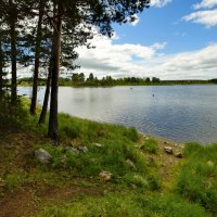 По реке Турье... :: Николай Гирш По реке Турье... :: Николай Гирш