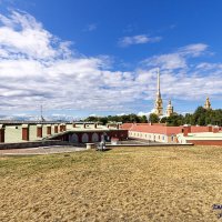Над крышами Петропавловки :: Евгений 
