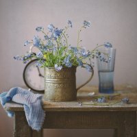 С незабудками... :: Liliya С незабудками... :: Liliya