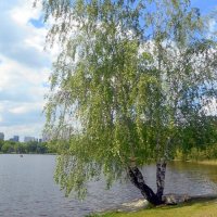 В усадьбе "Михалково" :: Елена 