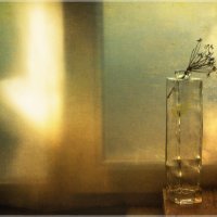 *** :: Oleg Rastorguev