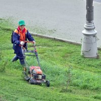 Танцы с газонокосилкой :: Валерий Иванович
