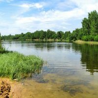 Природа в конце мая. :: Милешкин Владимир Алексеевич Природа в конце мая. :: Милешкин Владимир Алексеевич