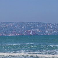 События Репортаж 2026 :: Владислав Воровский События Репортаж 2026 :: Владислав Воровский