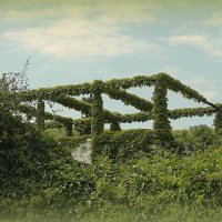 В заботливых руках природы... :: Ирина 