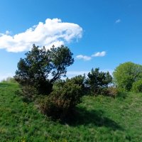 Нарва-Таллин :: Veera V Нарва-Таллин :: Veera V