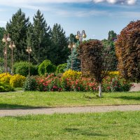 Прогулка по городу Армавир :: Игорь Сикорский Прогулка по городу Армавир :: Игорь Сикорский