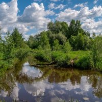 На исходе мая :: Андрей Дворников На исходе мая :: Андрей Дворников