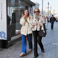*** :: Владимир Захаров