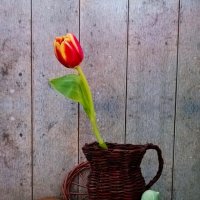 Начало весны. :: Наталья Соколова