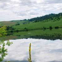 золотая розга :: nataly-teplyakov золотая розга :: nataly-teplyakov
