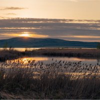 Мягкие краски весеннего вечера. :: Алексей Мезенцев