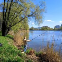 Май уходящий :: Мария Васильева