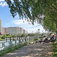 Ростовские зарисовки :: Александр Гапоненко