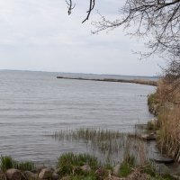 Балтика :: Gen Балтика :: Gen