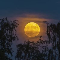 Голубая Луна :: Виталий Емельянов Голубая Луна :: Виталий Емельянов