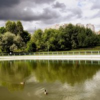 С последним днём весны. :: Татьяна Помогалова