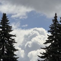 Высоко высоко , в горах ! :: Анна Камс Высоко высоко , в горах ! :: Анна Камс