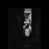 *** :: alex chernin