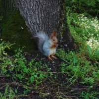 Холодно, шубку я пока не сняла) :: Nataly St. Холодно, шубку я пока не сняла) :: Nataly St.