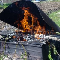 заготавливаем угли :: Владимир заготавливаем угли :: Владимир