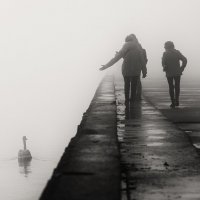 Туманная фотосессия. :: Анатолий Щербак