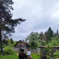 Наш маленький конный отряд. :: Ольга 