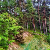 Summer begins 0626 :: Arturs Ancans