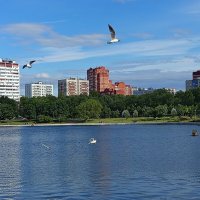 Вот и лето прИшло, а весна отступила :: Андрей Лукьянов Вот и лето прИшло, а весна отступила :: Андрей Лукьянов