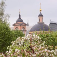 8 мая в Зарядье :: Михаил Бибичков