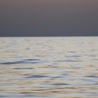 предзакатное море :: Елена Шаламова предзакатное море :: Елена Шаламова