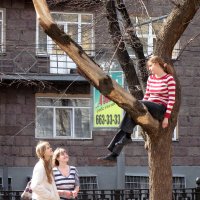 Угнездилась :: ИРЭН@ .