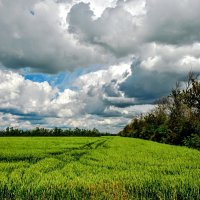 Лето. :: Владимир 