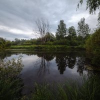 Колыванские разливы :: Антон Лихач