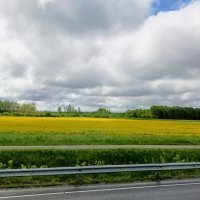 По дороге Нарва - Таллин :: Veera V
