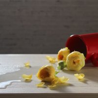 Красное и жёлтое. :: Нина Сироткина 