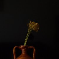 ... :: Милорад ... :: Милорад