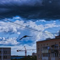 тучка :: Артём Евтюхов