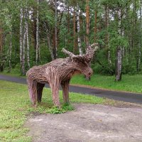 Лось :: Любовь Сахарова