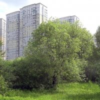 Хорошо жить у городского парка :: Валерий Иванович Хорошо жить у городского парка :: Валерий Иванович