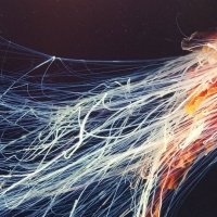 К достижению цели ! :: Валерий Кокорев К достижению цели ! :: Валерий Кокорев