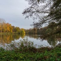 Из осеннего... :: Николай Гирш Из осеннего... :: Николай Гирш